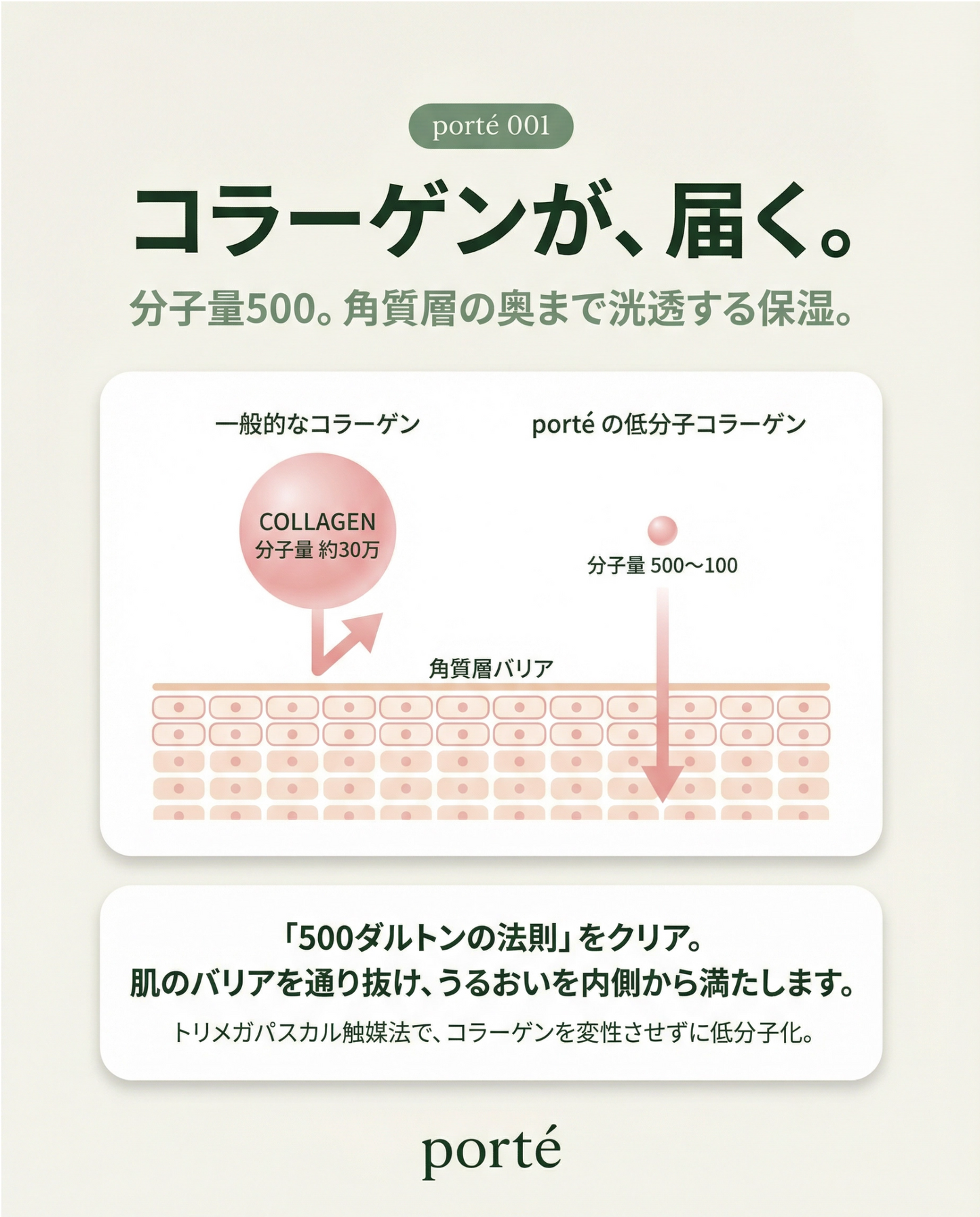 加水分解コラーゲン配合 porte敏感肌用美容液 成分説明